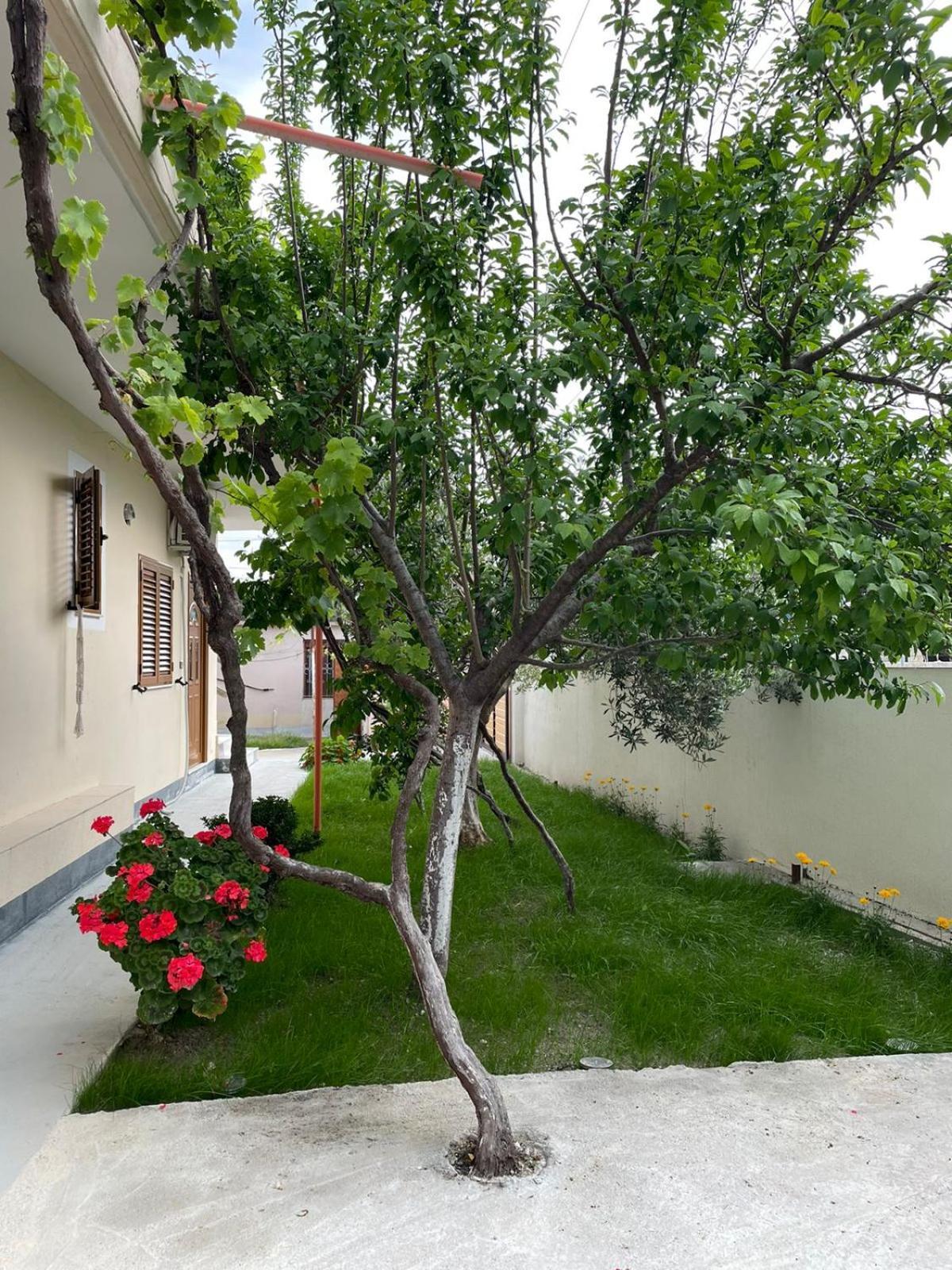 Blossom Apartments Vlorë Exterior foto